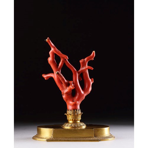 French ‘Cabinet du Curiosities’ Fine Gilded Ormolu Mounted Sicilian Red Coral Branch